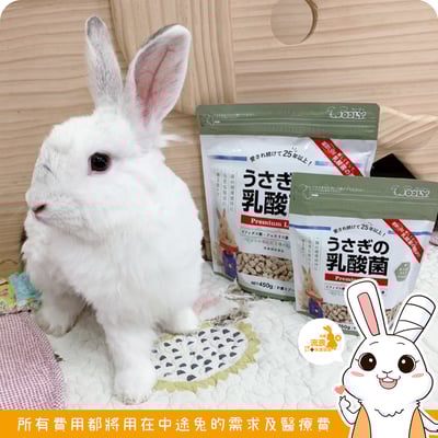 日本WOOLY 兔子的乳酸菌(新款)2