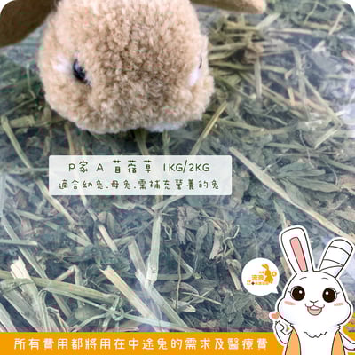 P家牧草 A 苜蓿草3