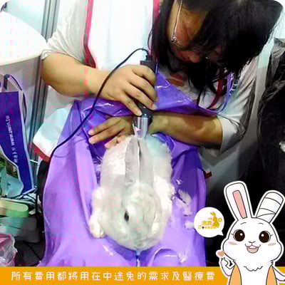 安置中心預約剃毛/剪指甲服務2