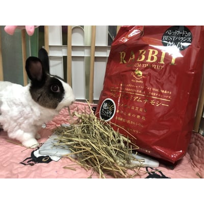 GEX 金牌好心情提摩西草4