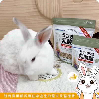 日本WOOLY 兔子的乳酸菌(新款)3