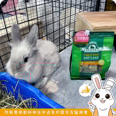 MOMI 提摩西/苜蓿 牧草塊 草磚1