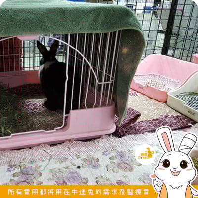 防滑棉料布墊11