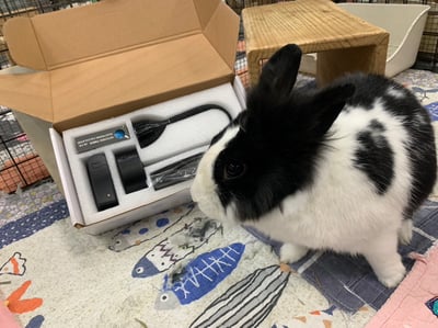 PLU01 LED紫外線燈 311納米窄譜UVB9