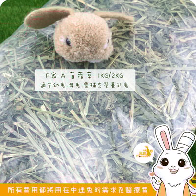 P家牧草 A 苜蓿草2