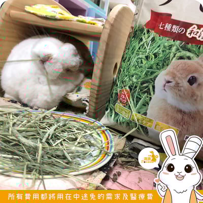 GEX彩食健美 提摩西草4