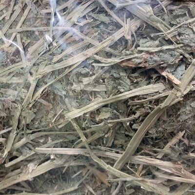 美國優質特級苜蓿草 A1