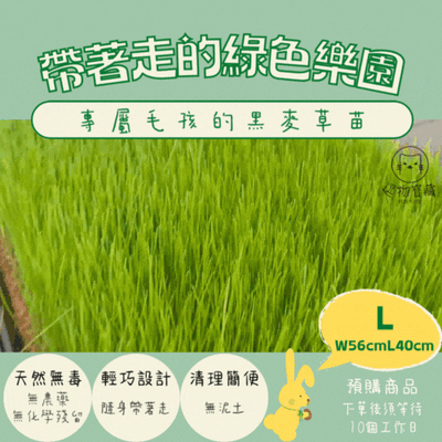 逗物寶藏｜大草皮義賣(冷藏宅配單獨出貨或協會自取)(無超商取貨)1