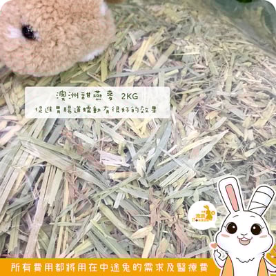 特級 澳洲甜燕麥/甜小麥1