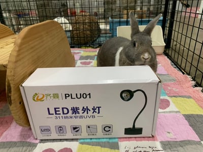 PLU01 LED紫外線燈 311納米窄譜UVB3