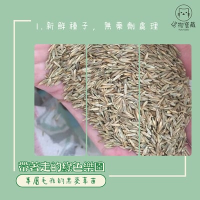 逗物寶藏｜小草皮義賣(冷藏宅配單獨出貨或協會自取)(無超商取貨)2