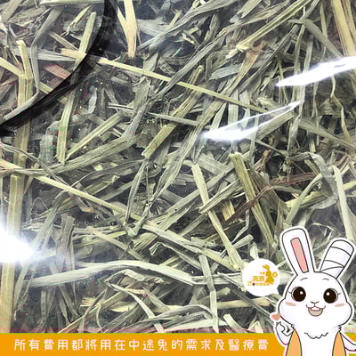 P家牧草 果園草2