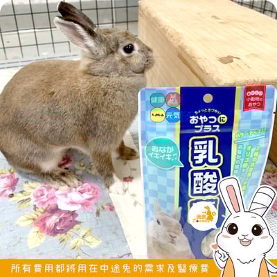 日本 HI-PET 乳酸菌保健牧草零食1