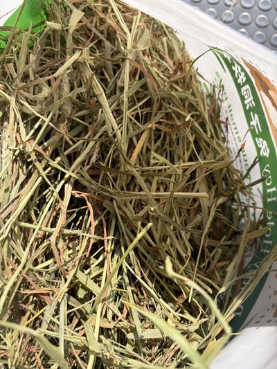 美國 兔子洞二切軟纖葉多提摩西(接近二切)8