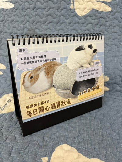 預購【健康養兔兔 x 2027 浪兔公益桌曆】+桌曆含限定版兔小浪造型icash4