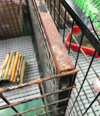 捐助 安置中心中途兔圍片(衛部救字第1141365125號)8