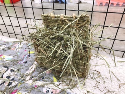 日本 Sumi-CA 燕麥草專用牧草架2