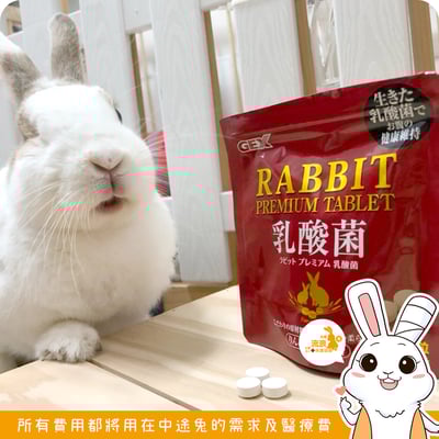 GEX 金牌乳酸菌錠2