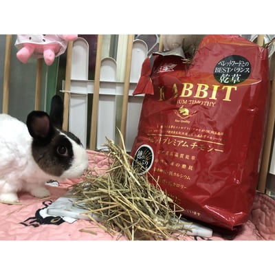 GEX 金牌好心情提摩西草1