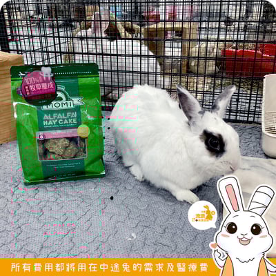 MOMI 提摩西/苜蓿 牧草塊 草磚5