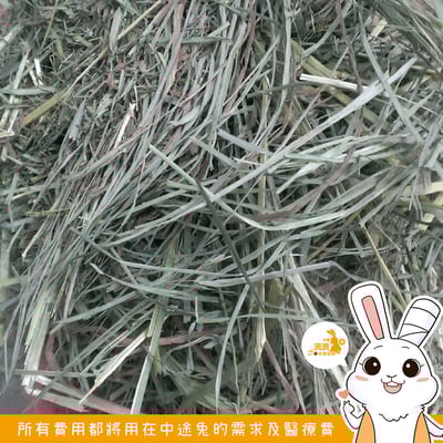 P家牧草 果園草1