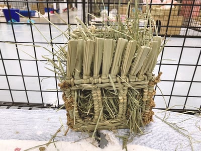 日本 Sumi-CA 提摩西專用牧草架3