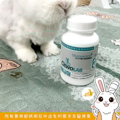 CI兔 Citwo LAB 兔寶胺 複方葡萄糖胺 EX1
