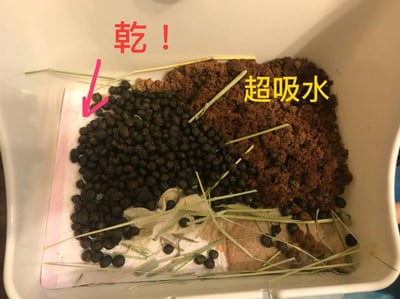 喵屁屋 極品松木砂 5kg3