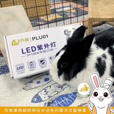 PLU01 LED紫外線燈 311納米窄譜UVB1