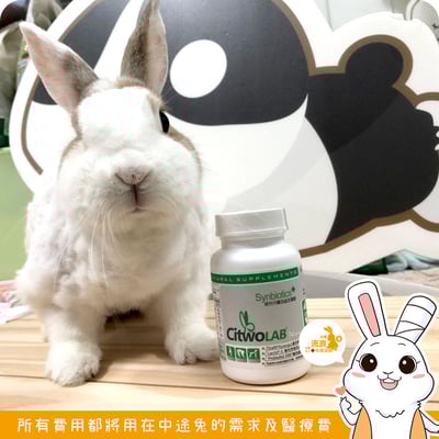 CI兔 Citwo LAB 益兔寶 複合益生菌1