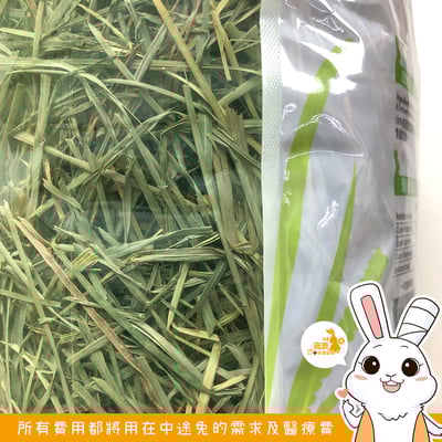 美國SPS寵之選 果園草(2025/08)2