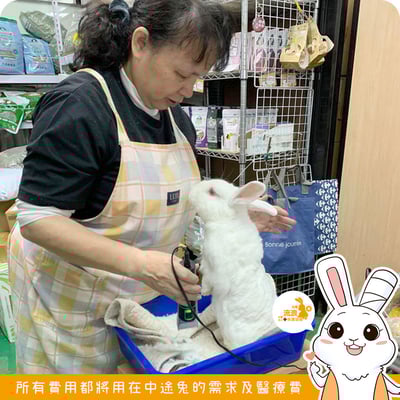 PiPe煙斗牌 ER-169 寵物專業電剪6