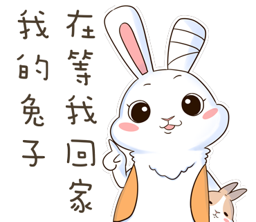 捐助 病兔/老兔醫療費用 (衛部救字第1141365125號)1