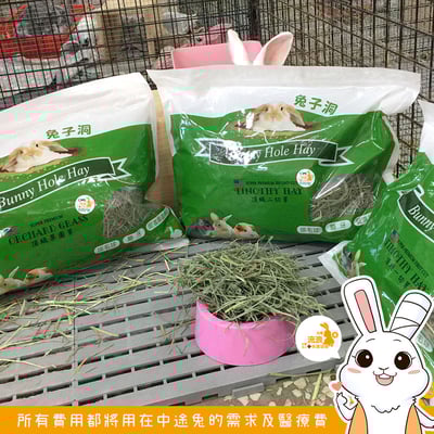 美國 兔子洞 果園草3