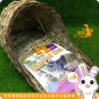 Jolly 大頭草鞋睡房 大號3