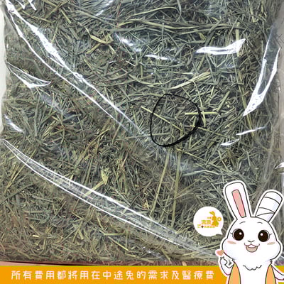 P家牧草 果園草3