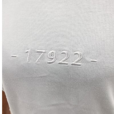 17922 一起救兔兔刺繡短T4