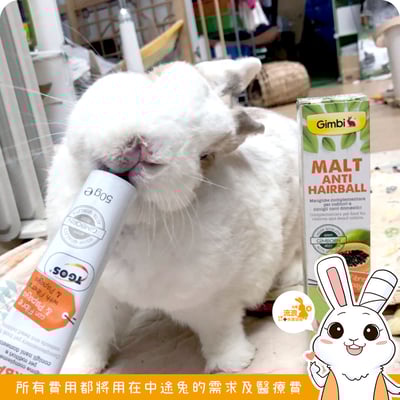 德國竣寶GIMBORN 兔用麥芽木瓜酵素化毛膏2