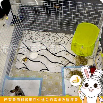 烤漆圍片60x90cm (5分網格)1