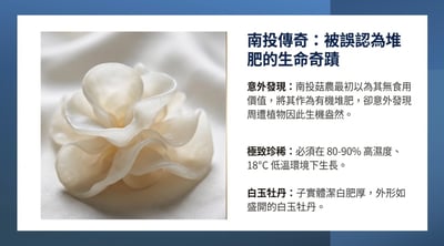 五福禮盒（5瓶入）7