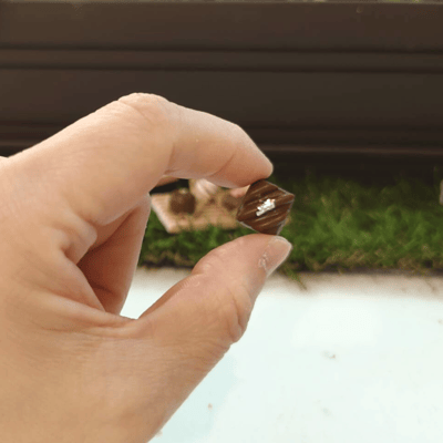 1*1cm仿真巧克力禮盒4