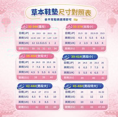 ★預購★白沙屯媽祖限定款丨草本除臭透氣專利足弓鞋墊 ♡兩雙組♡2