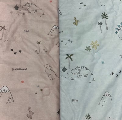 冰冰涼感被｜童趣恐龍4