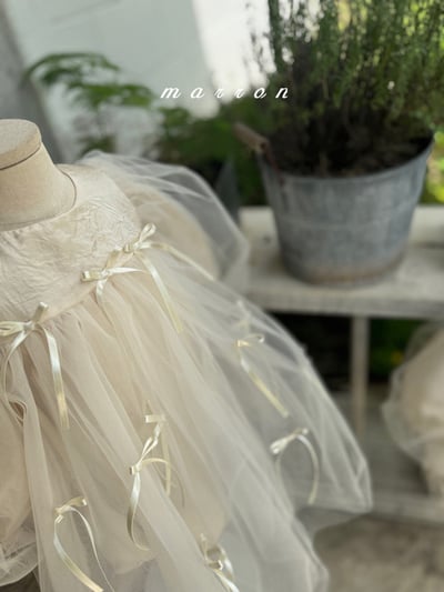 蝴蝶結薄紗洋裝 (2色)7