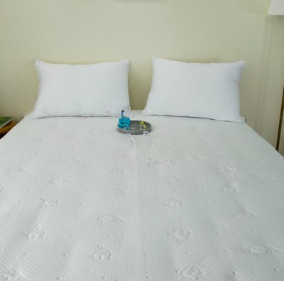 涼感床墊｜鯨魚3