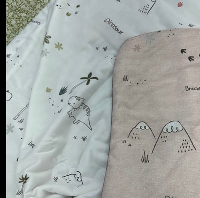 冰冰涼感被｜童趣恐龍2