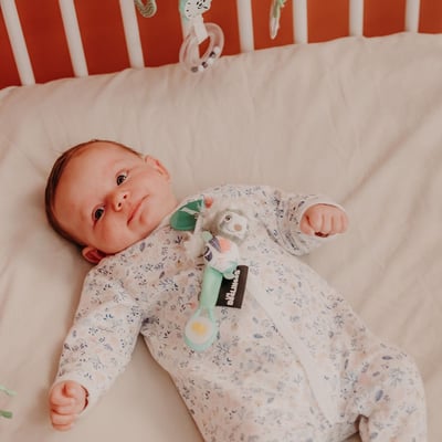 法國Les Deglingos-立體伙伴奶嘴夾(樹懶/奇洛斯)2