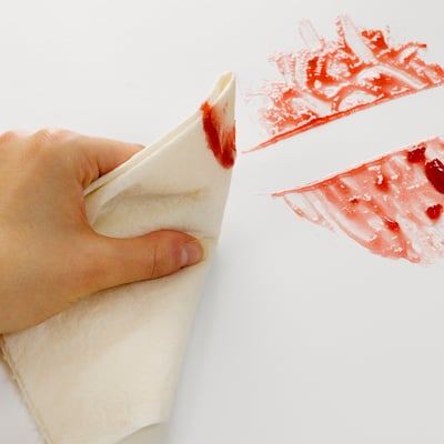 英國ECOEGG-竹纖可洗式廚房擦拭巾(20張入)9