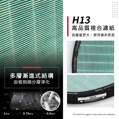 【蟎著媽】濾網 濾芯 適用 LG 大白 空氣清淨機  PS-W309WI AS401WWJ1 AS401WWL28