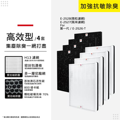 【蟎著媽】濾網 適用Amway 安麗 第一代空氣清淨機E-2526-T 專用濾網組(HEPA1片+顆粒活性碳1片)13